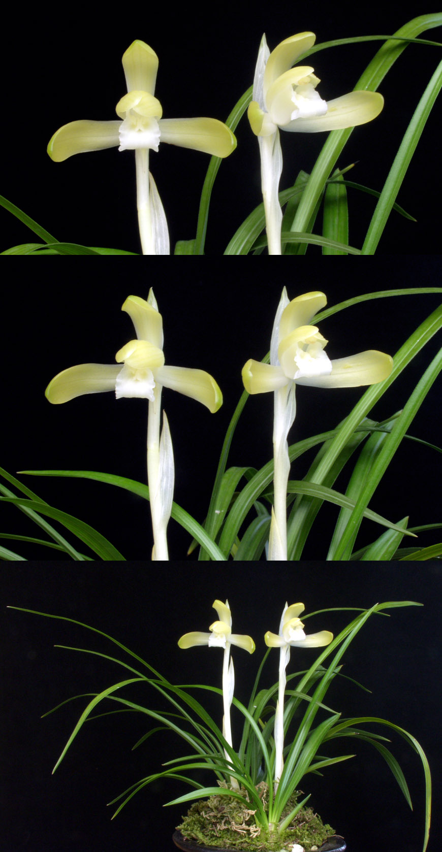 ������ ū������ �� �� �ֽ��ϴ�.