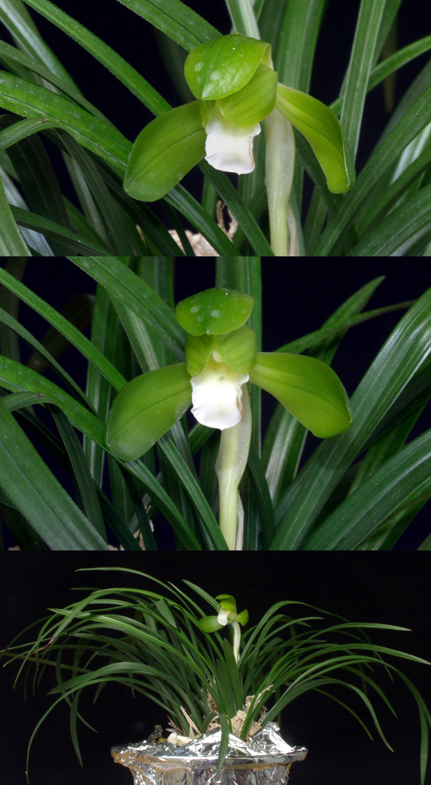 ������ ū������ �� �� �ֽ��ϴ�.