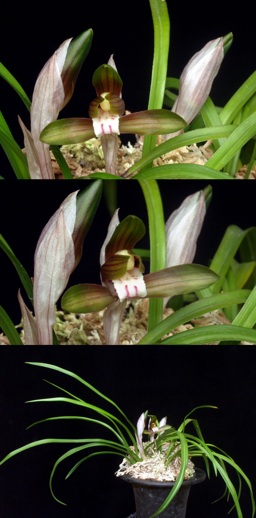 ������ ū������ �� �� �ֽ��ϴ�.