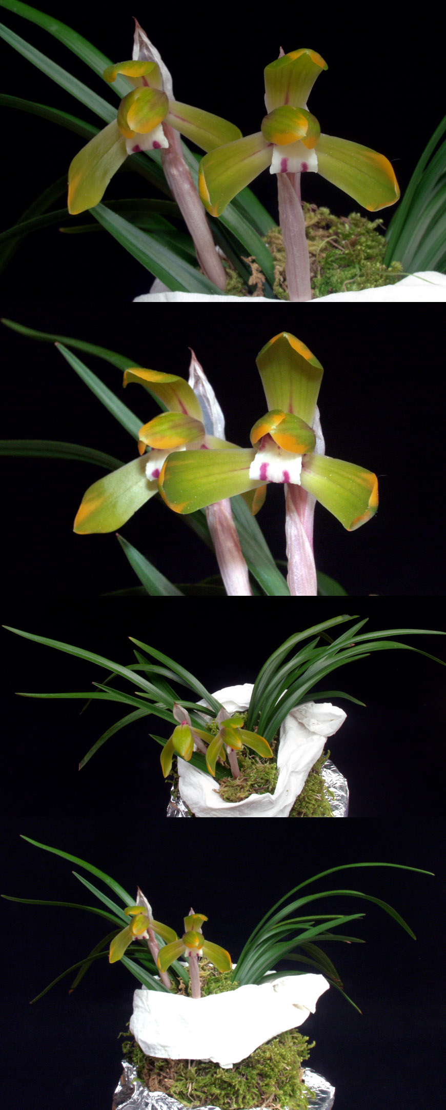 ������ ū������ �� �� �ֽ��ϴ�.