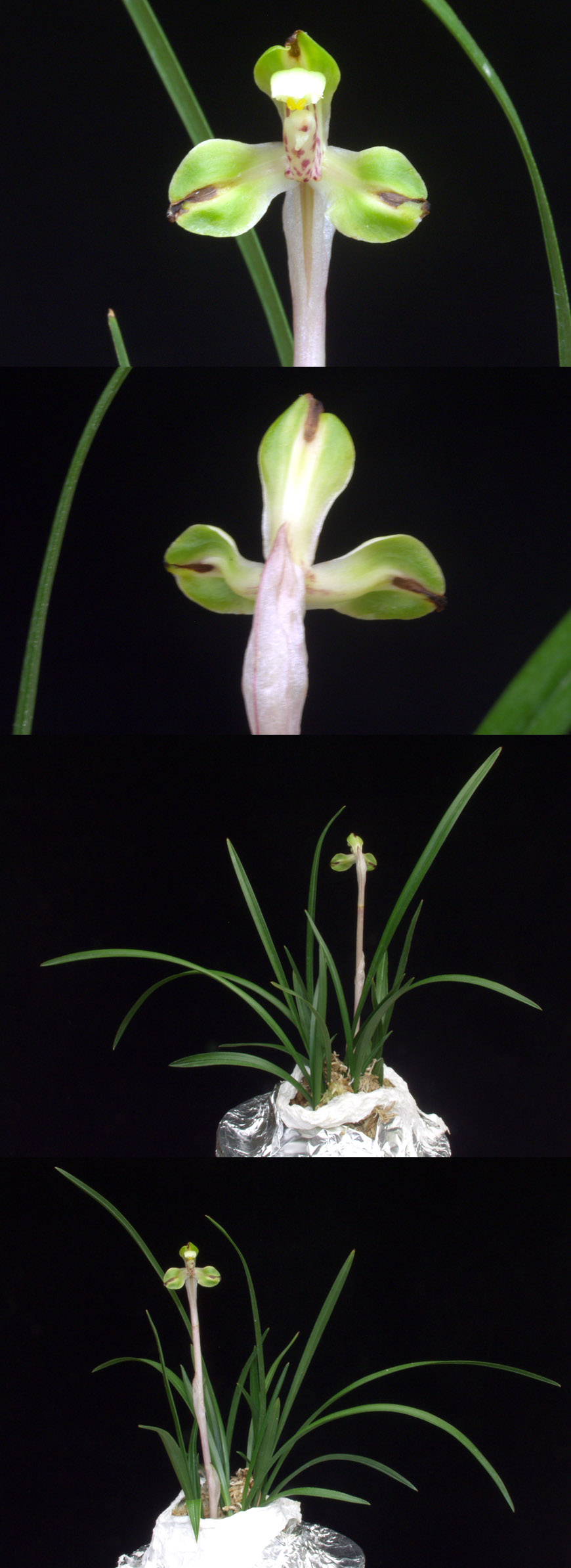 ������ ū������ �� �� �ֽ��ϴ�.