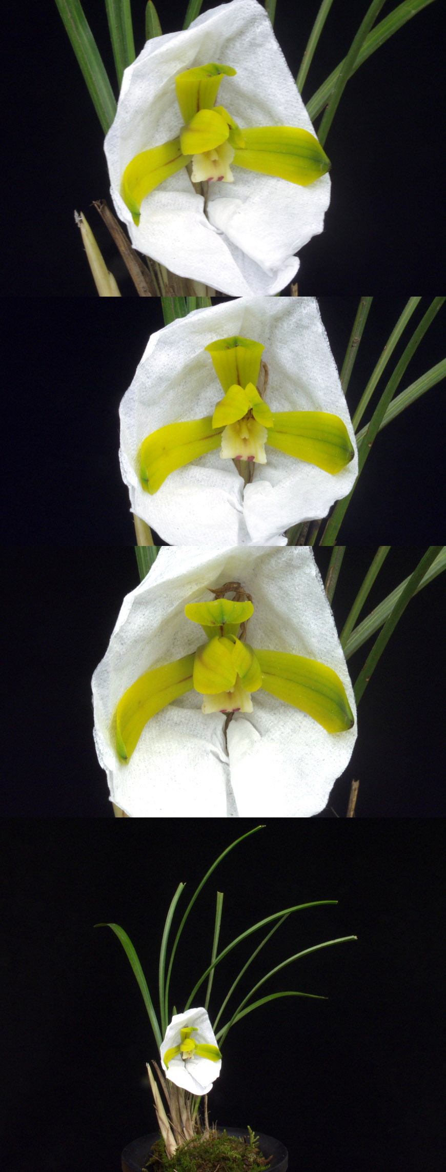 ������ ū������ �� �� �ֽ��ϴ�.