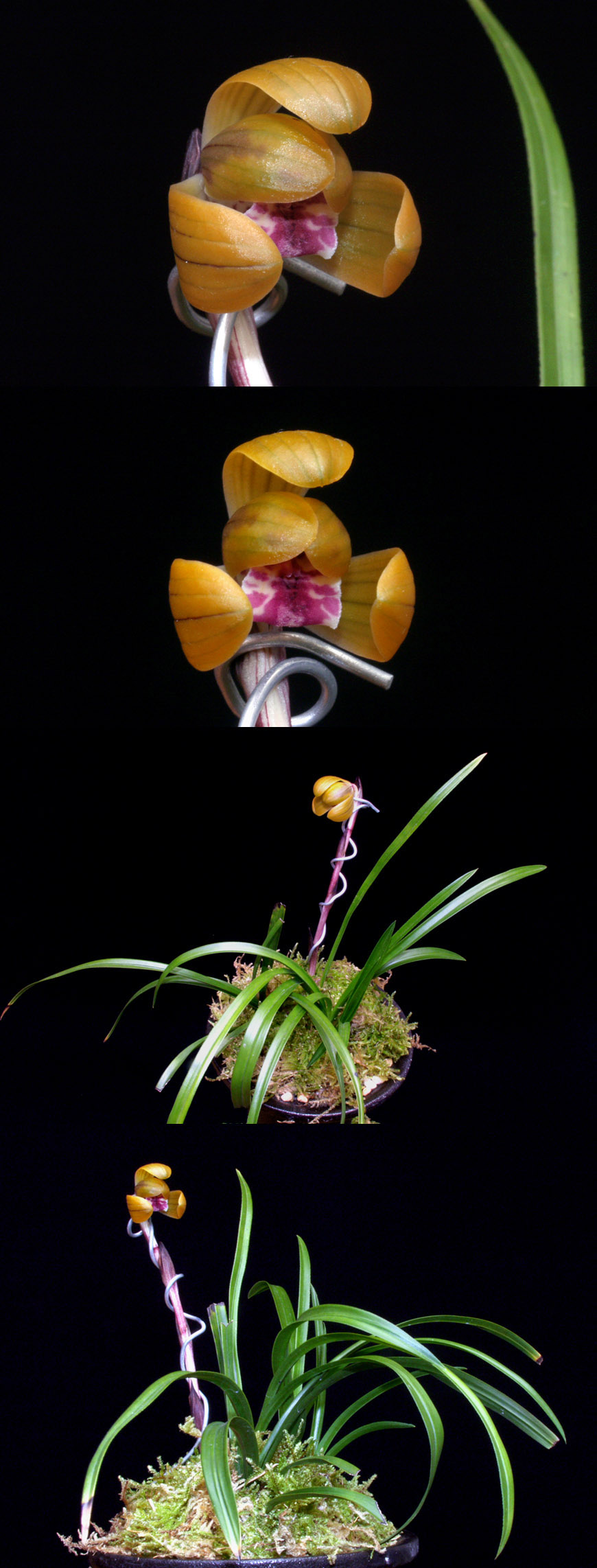 ������ ū������ �� �� �ֽ��ϴ�.