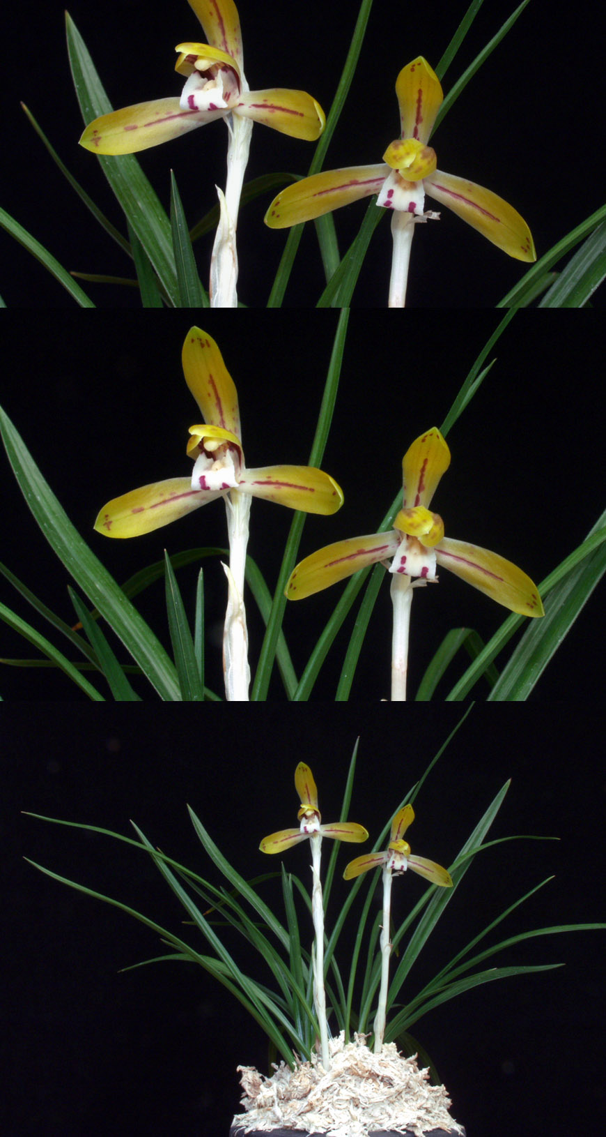 ������ ū������ �� �� �ֽ��ϴ�.