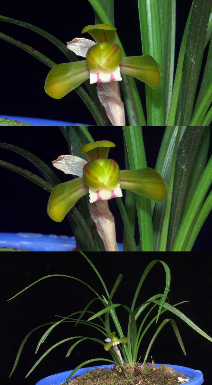 ������ ū������ �� �� �ֽ��ϴ�.