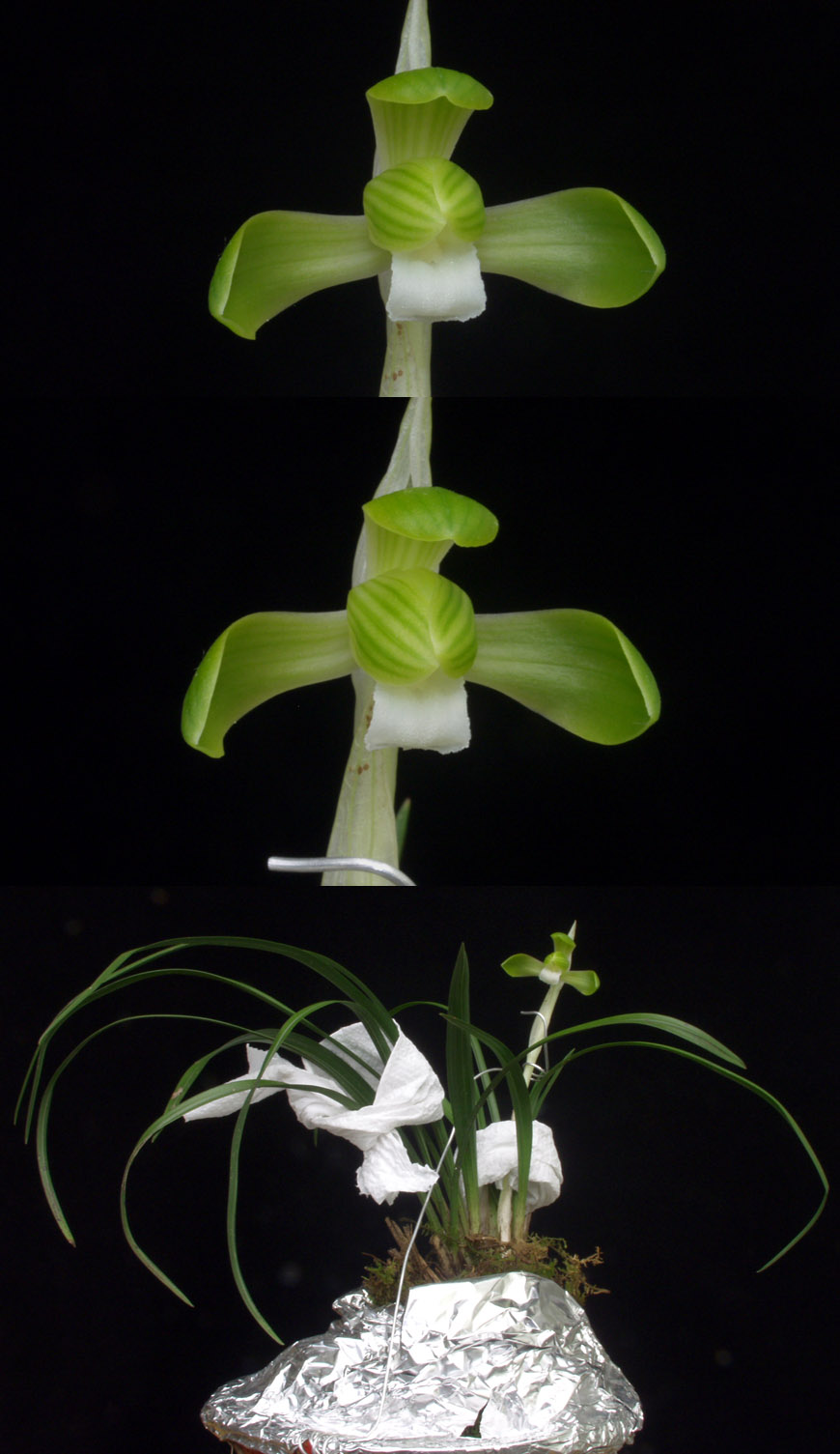 ������ ū������ �� �� �ֽ��ϴ�.