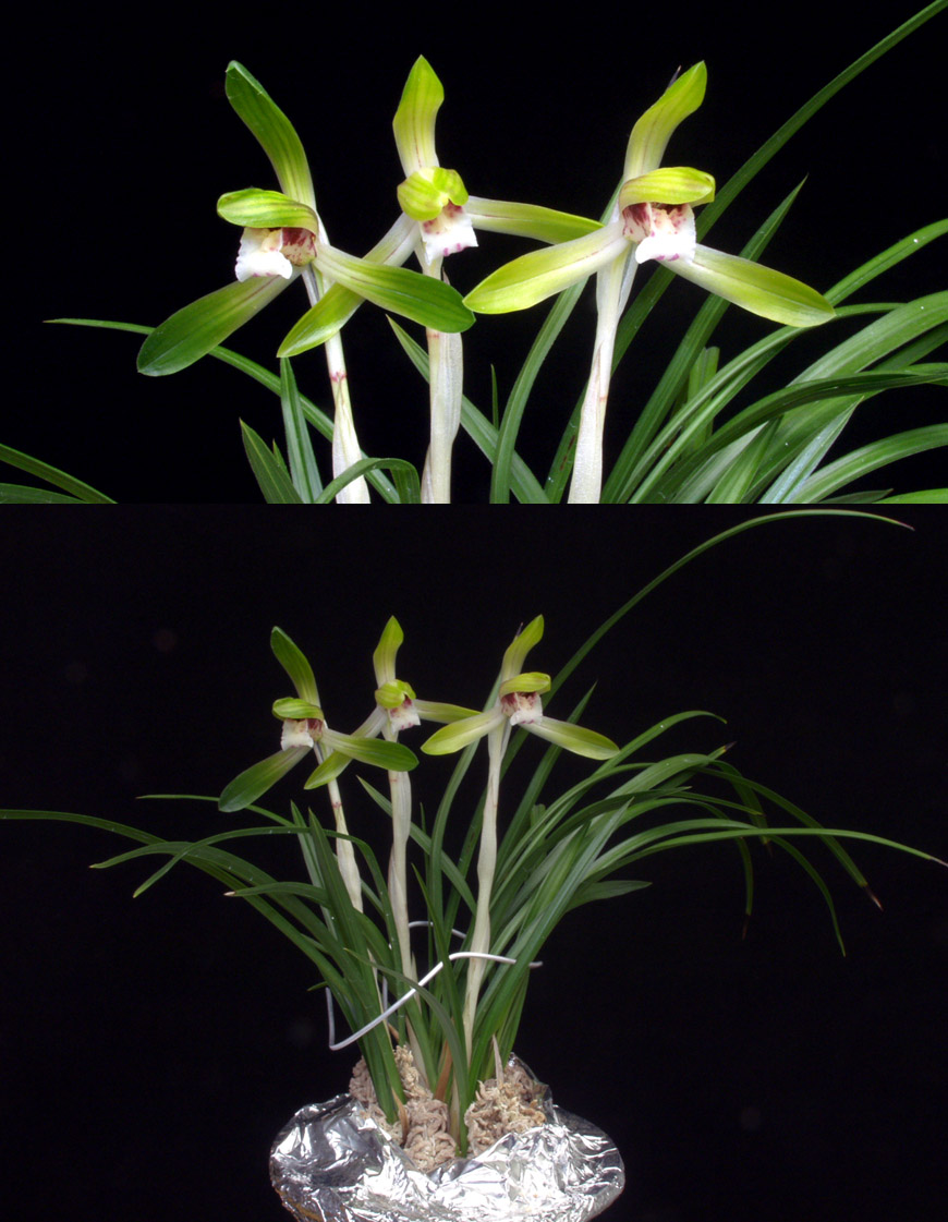 ������ ū������ �� �� �ֽ��ϴ�.