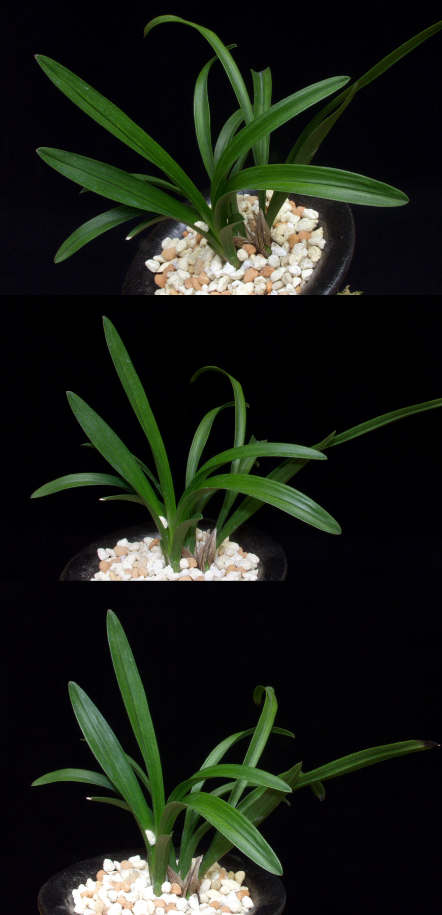 ������ ū������ �� �� �ֽ��ϴ�.