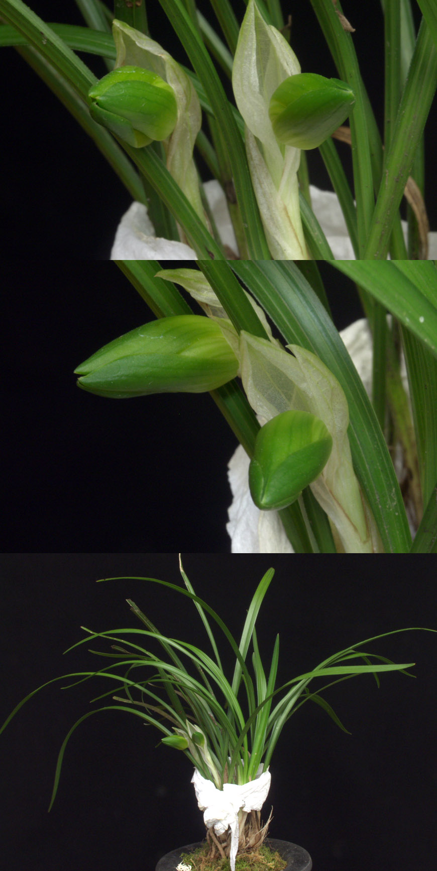 ������ ū������ �� �� �ֽ��ϴ�.