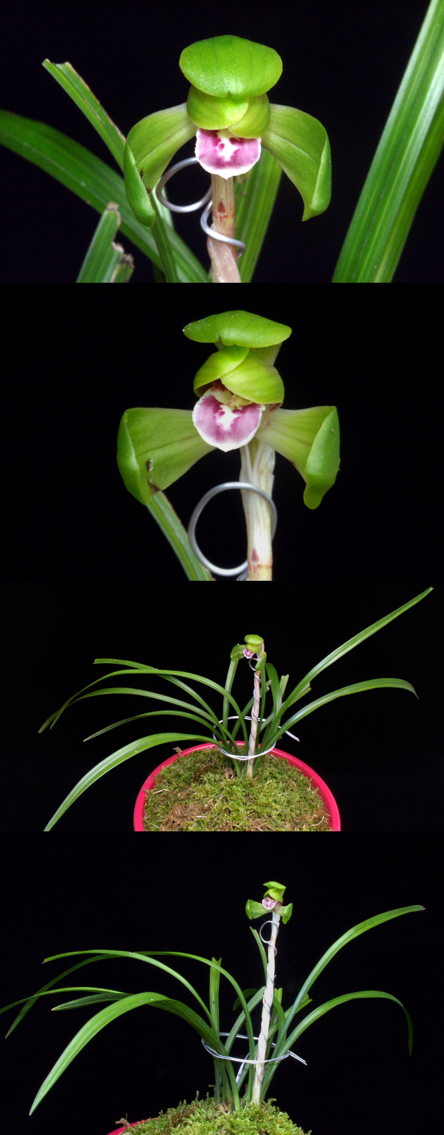 ������ ū������ �� �� �ֽ��ϴ�.