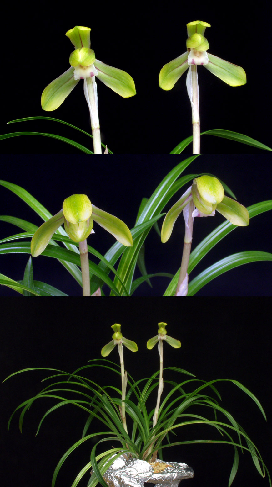 ������ ū������ �� �� �ֽ��ϴ�.