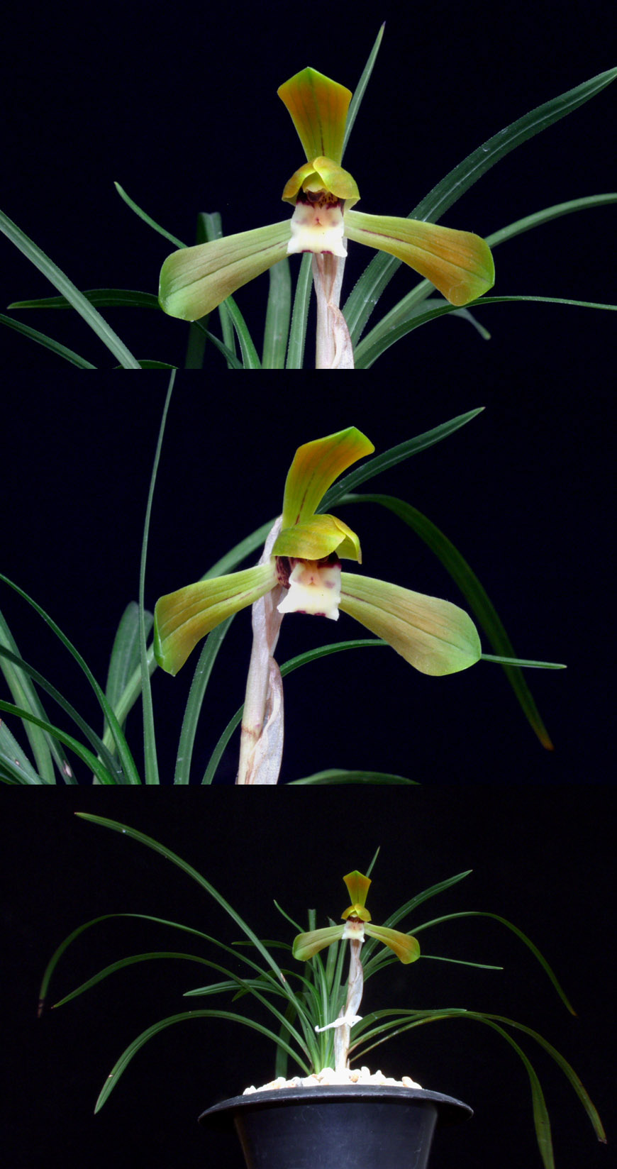 ������ ū������ �� �� �ֽ��ϴ�.