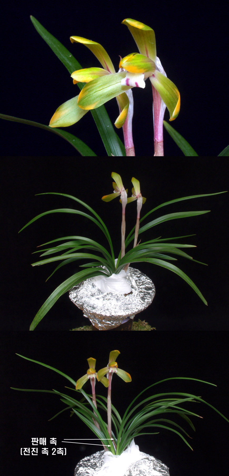 ������ ū������ �� �� �ֽ��ϴ�.