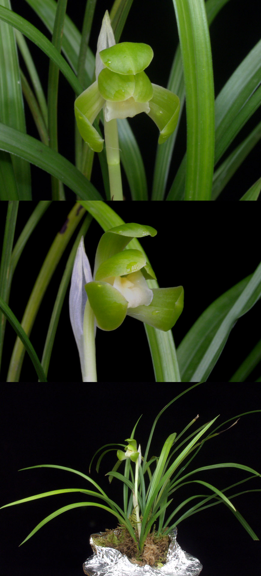 ������ ū������ �� �� �ֽ��ϴ�.