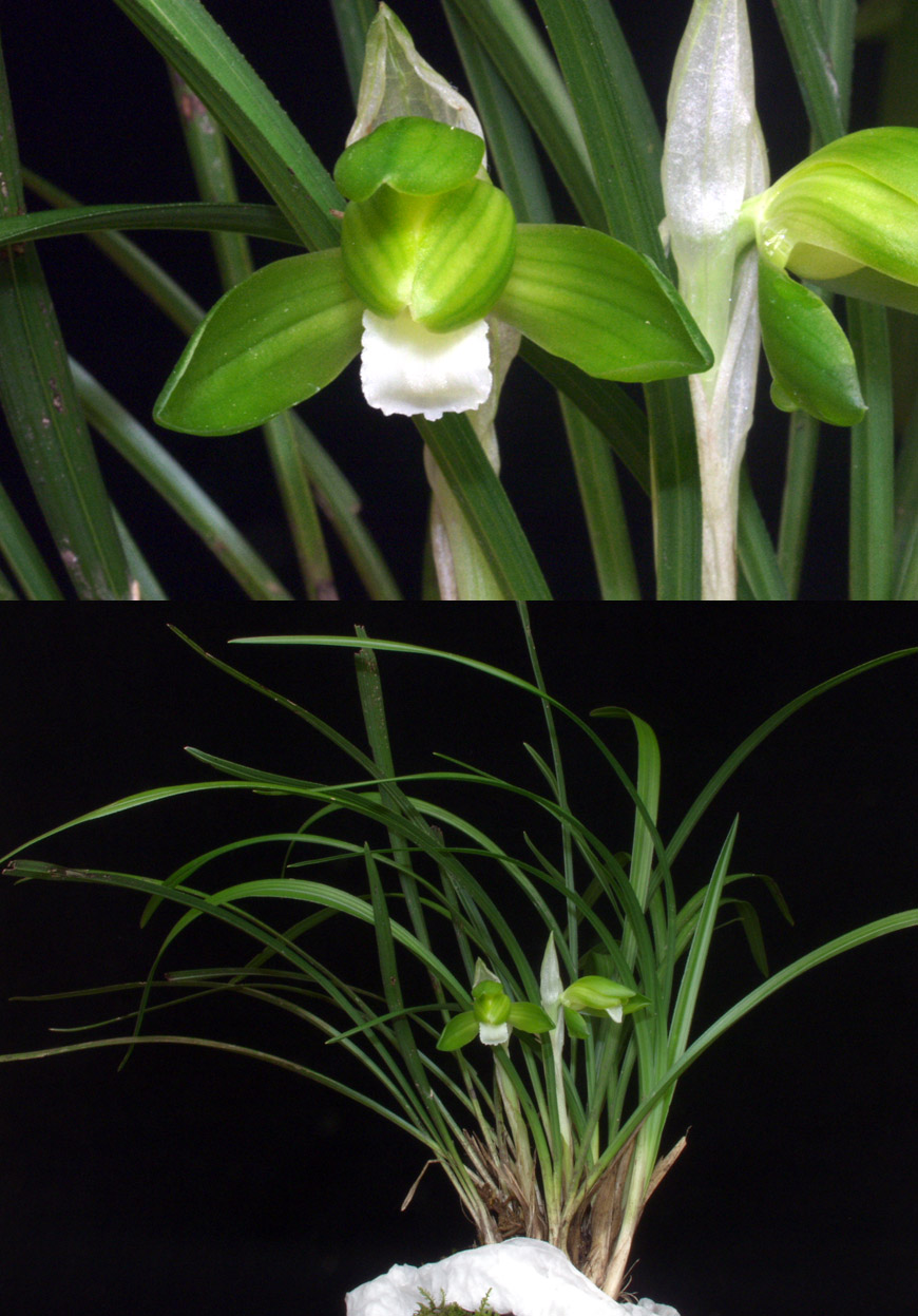 ������ ū������ �� �� �ֽ��ϴ�.