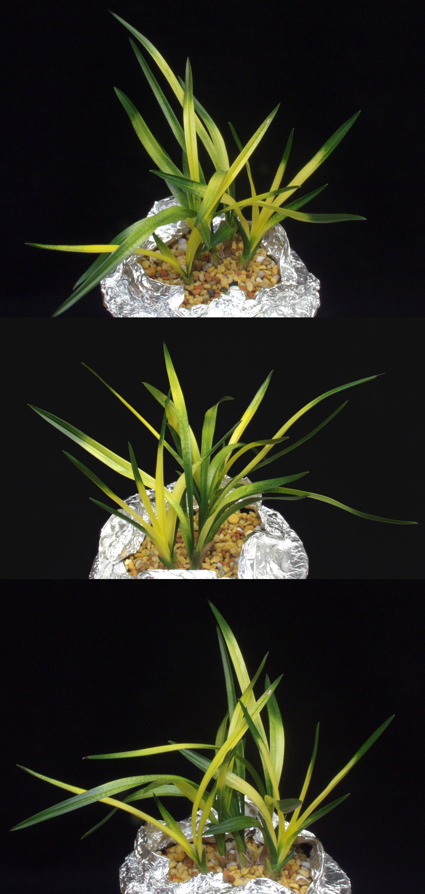 ������ ū������ �� �� �ֽ��ϴ�.