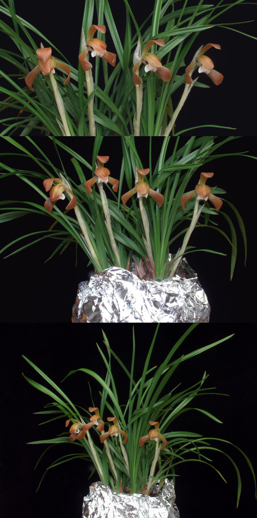 ������ ū������ �� �� �ֽ��ϴ�.