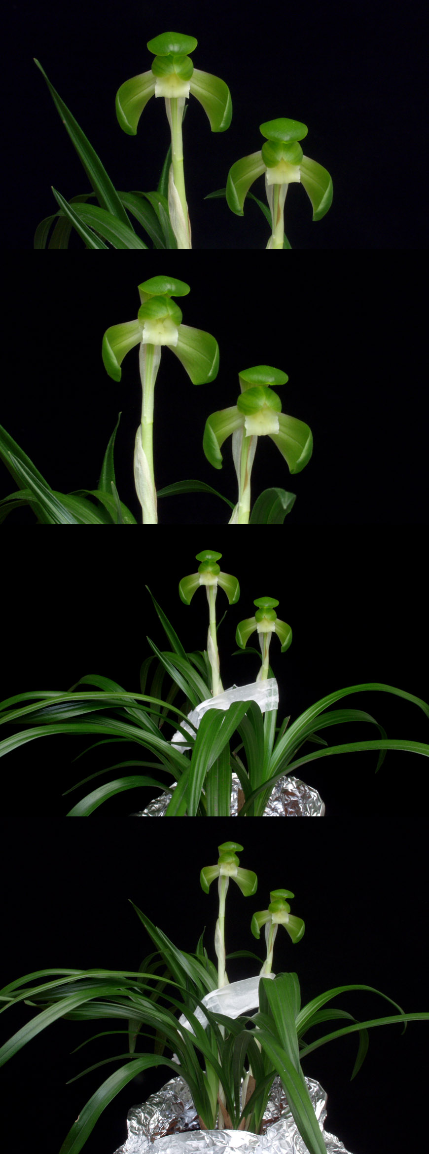 ������ ū������ �� �� �ֽ��ϴ�.