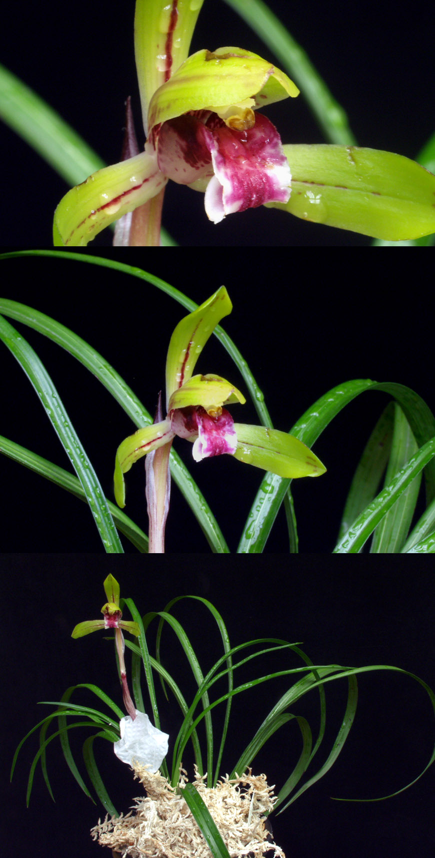 ������ ū������ �� �� �ֽ��ϴ�.