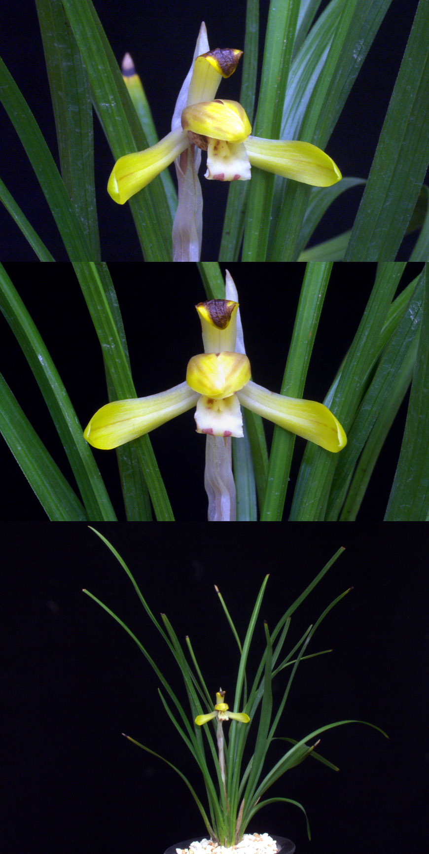 ������ ū������ �� �� �ֽ��ϴ�.