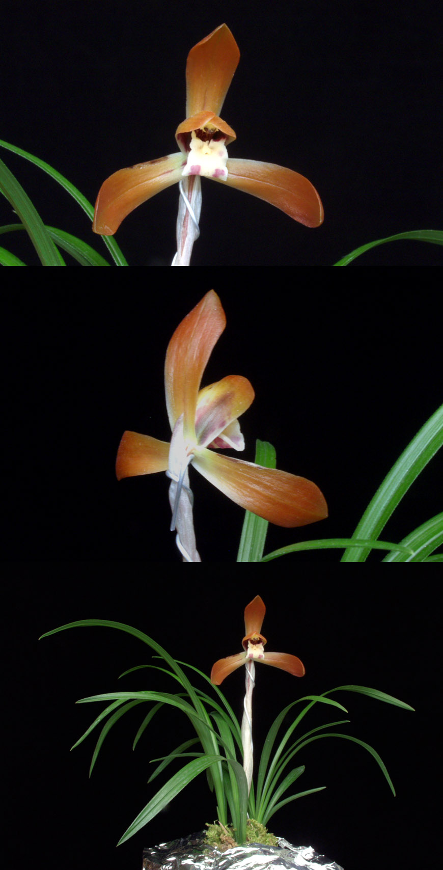 ������ ū������ �� �� �ֽ��ϴ�.