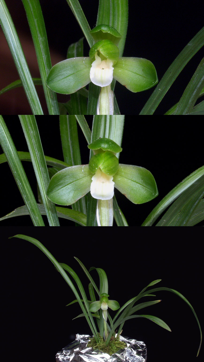 ������ ū������ �� �� �ֽ��ϴ�.