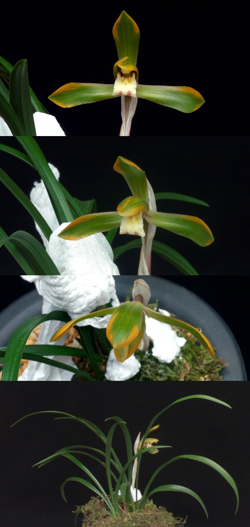 ������ ū������ �� �� �ֽ��ϴ�.