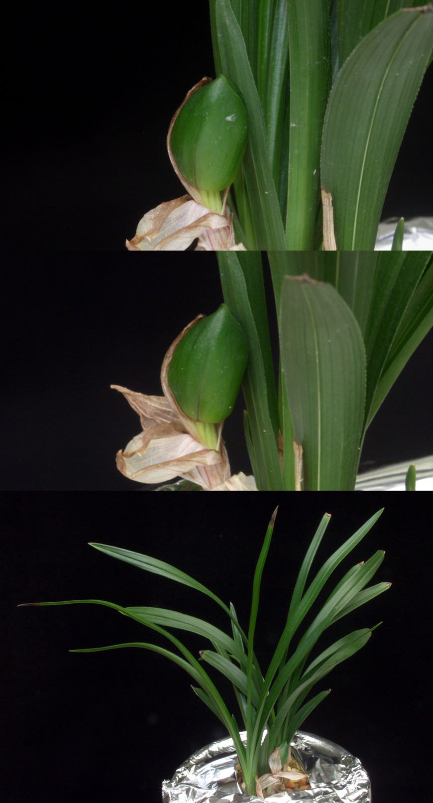 ������ ū������ �� �� �ֽ��ϴ�.