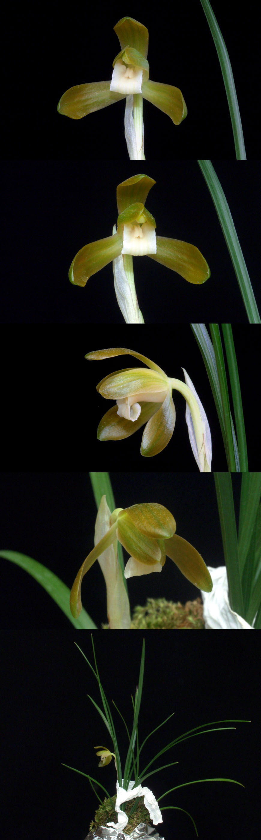 ������ ū������ �� �� �ֽ��ϴ�.