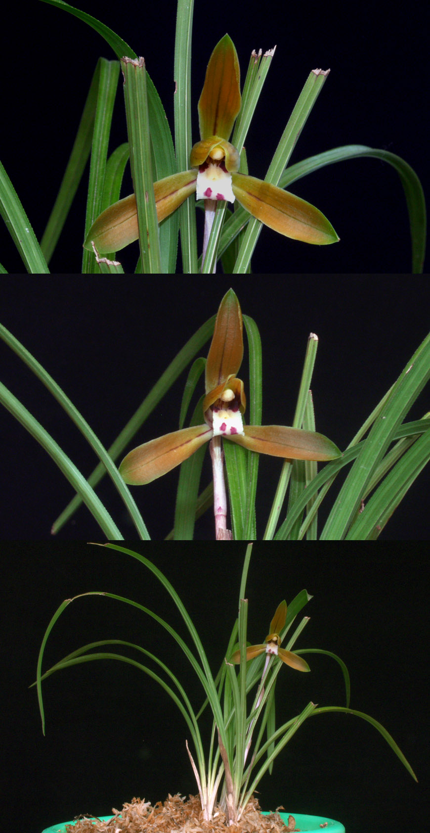 ������ ū������ �� �� �ֽ��ϴ�.