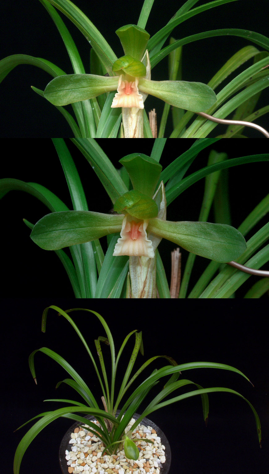 ������ ū������ �� �� �ֽ��ϴ�.