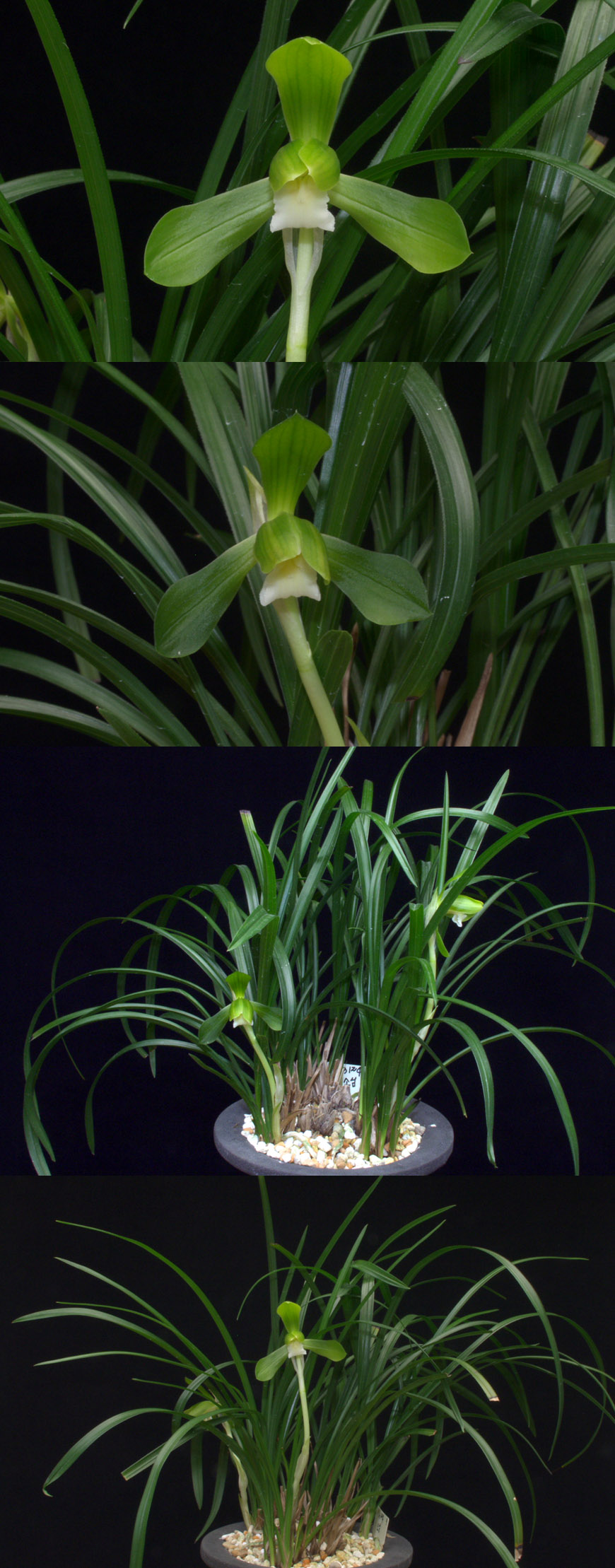 ������ ū������ �� �� �ֽ��ϴ�.