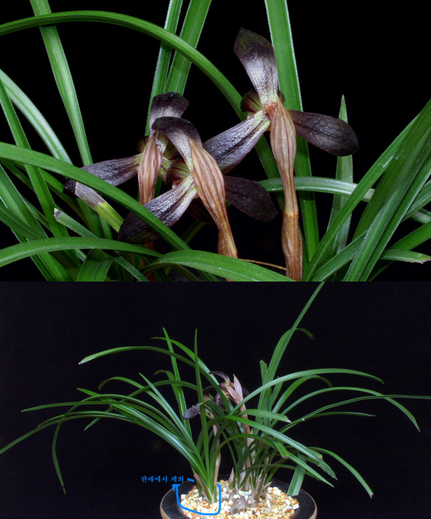 ������ ū������ �� �� �ֽ��ϴ�.