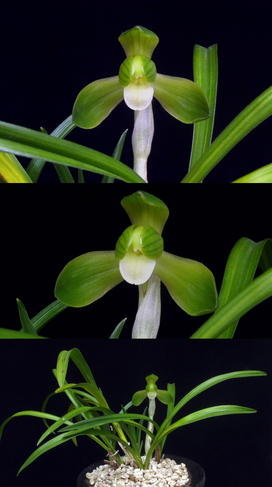 ������ ū������ �� �� �ֽ��ϴ�.