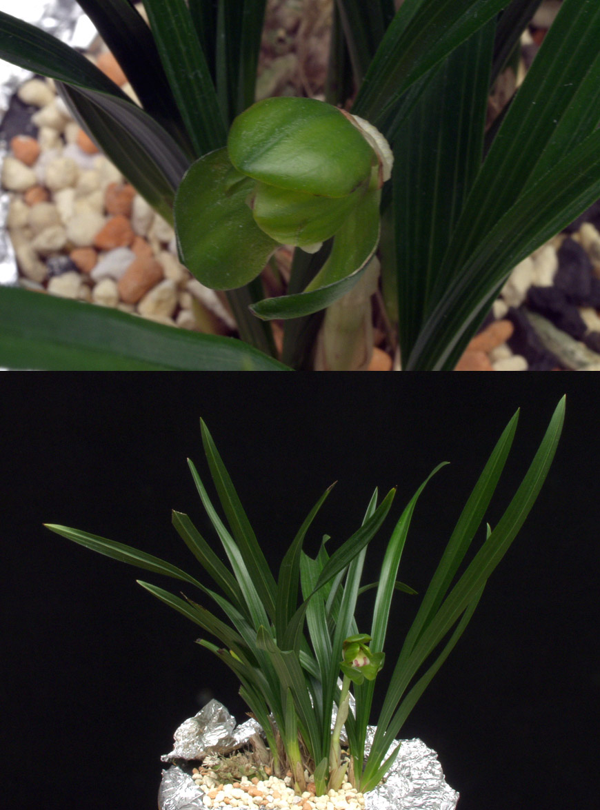 ������ ū������ �� �� �ֽ��ϴ�.