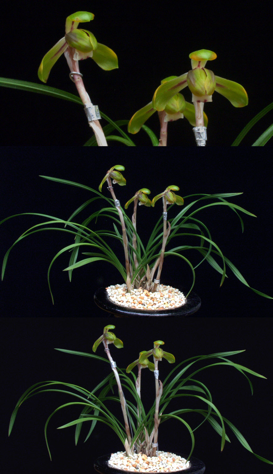 ������ ū������ �� �� �ֽ��ϴ�.