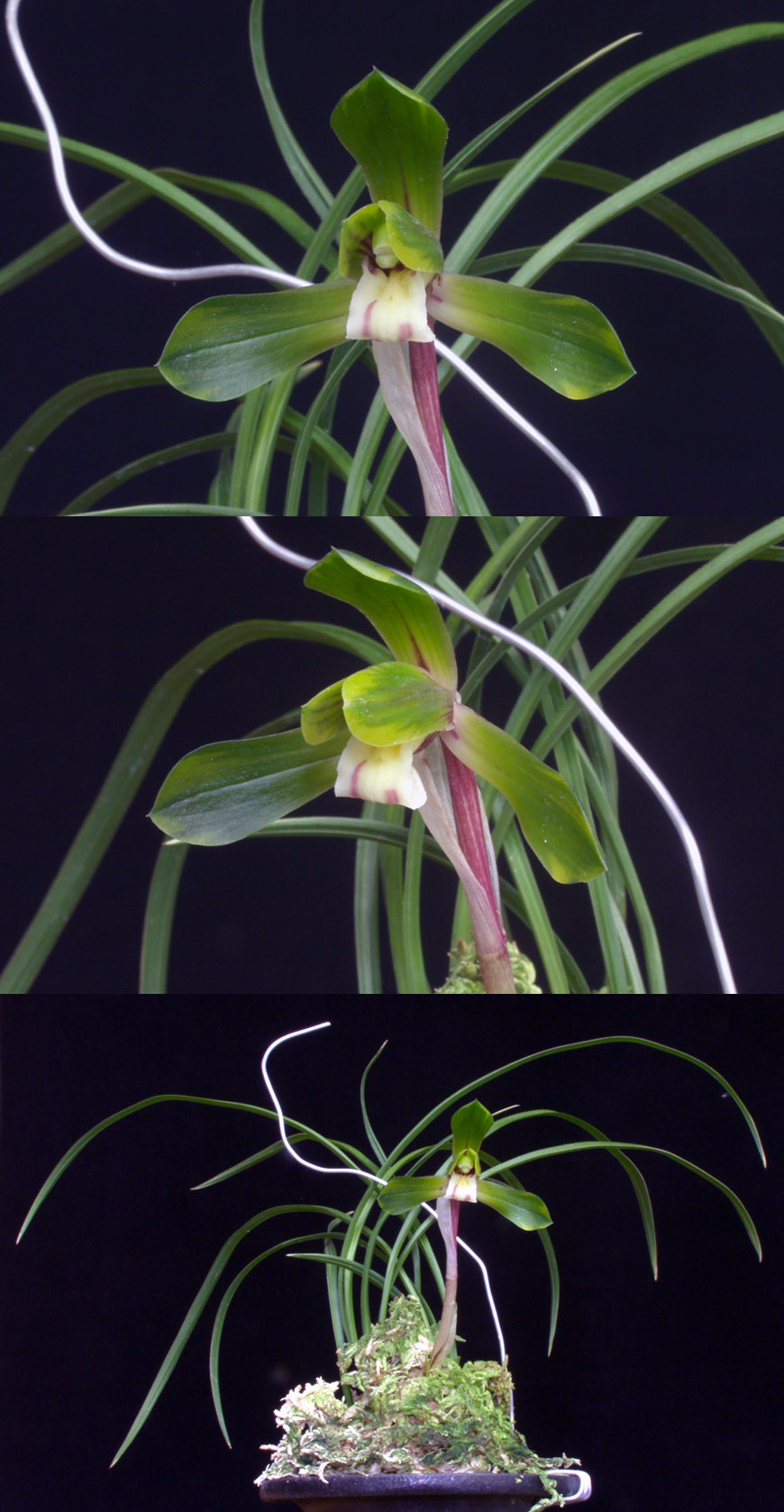 ������ ū������ �� �� �ֽ��ϴ�.