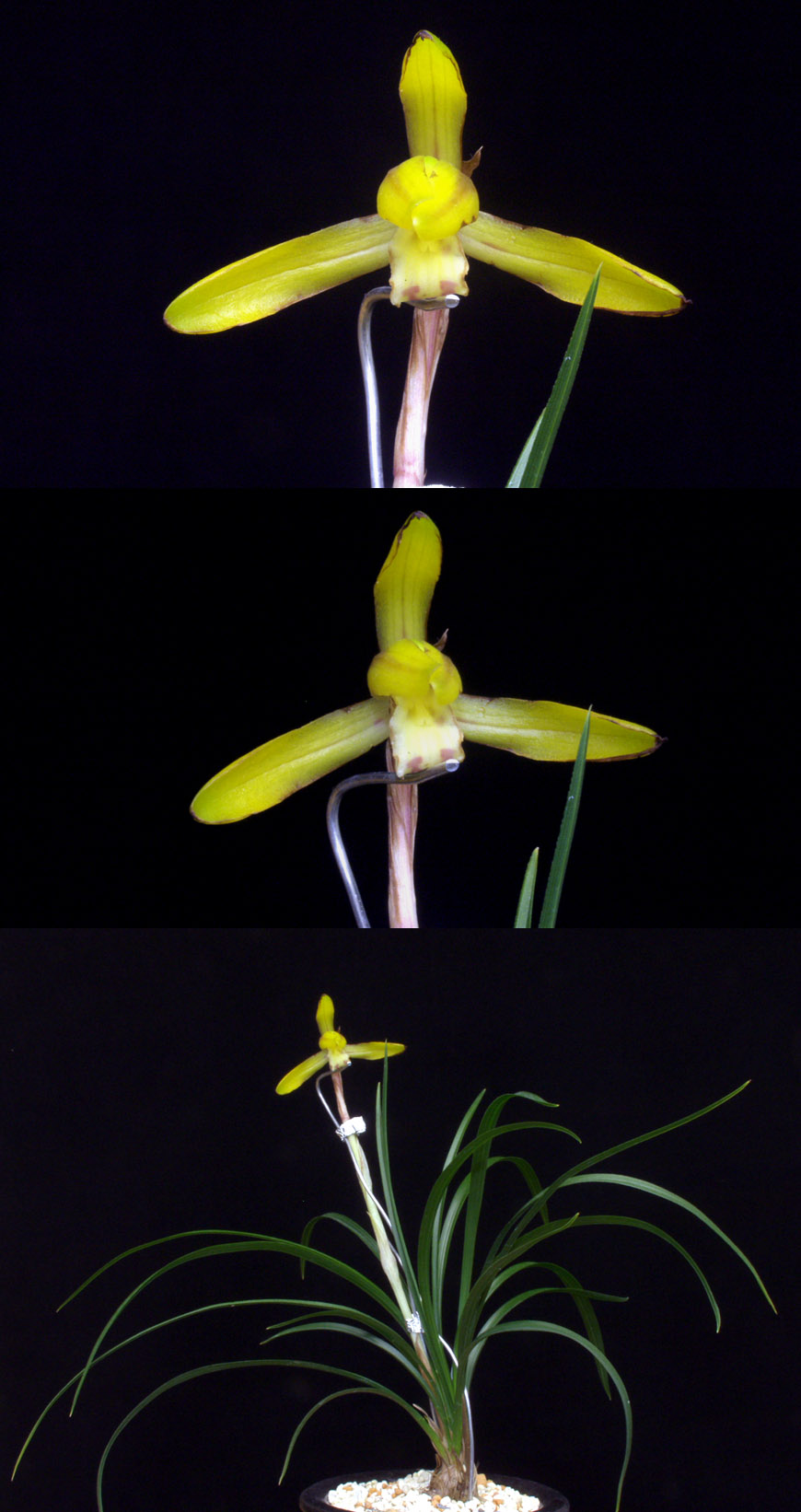 ������ ū������ �� �� �ֽ��ϴ�.