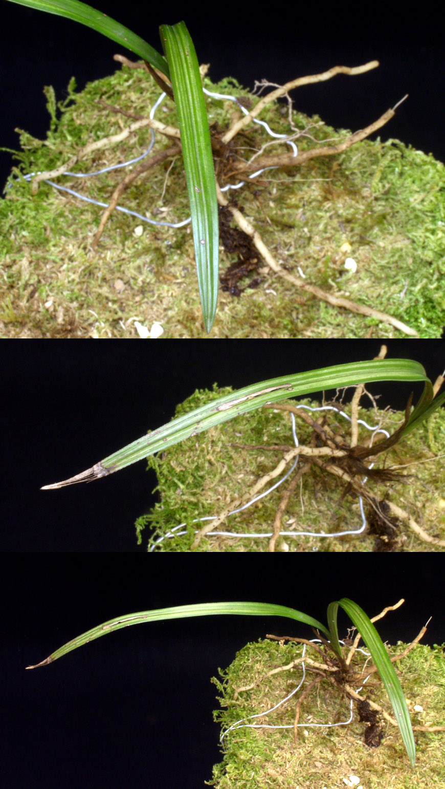 ������ ū������ �� �� �ֽ��ϴ�.