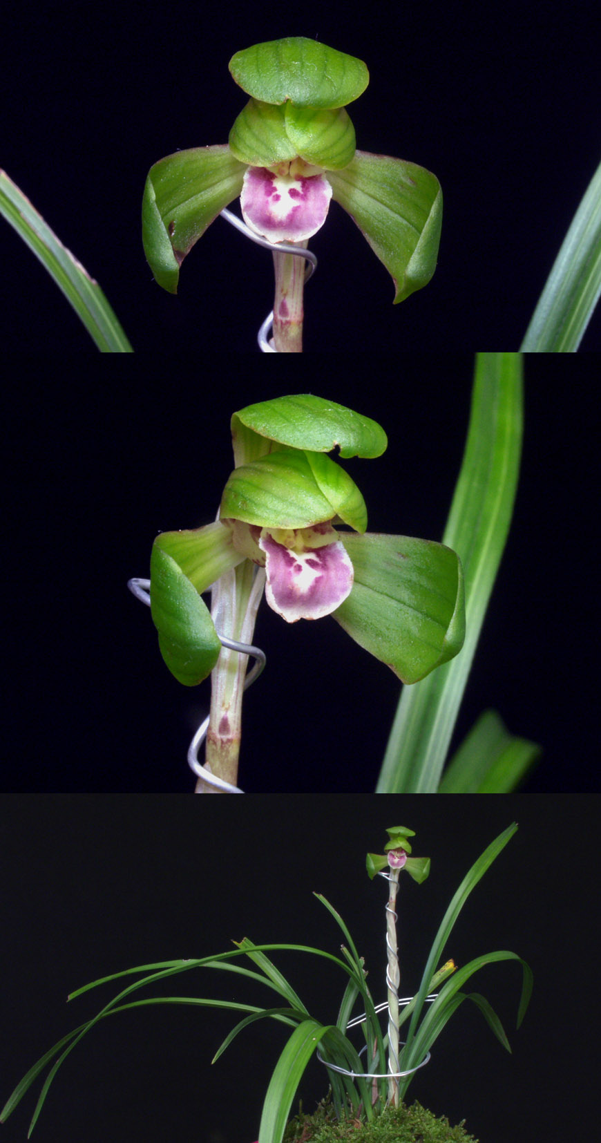 ������ ū������ �� �� �ֽ��ϴ�.