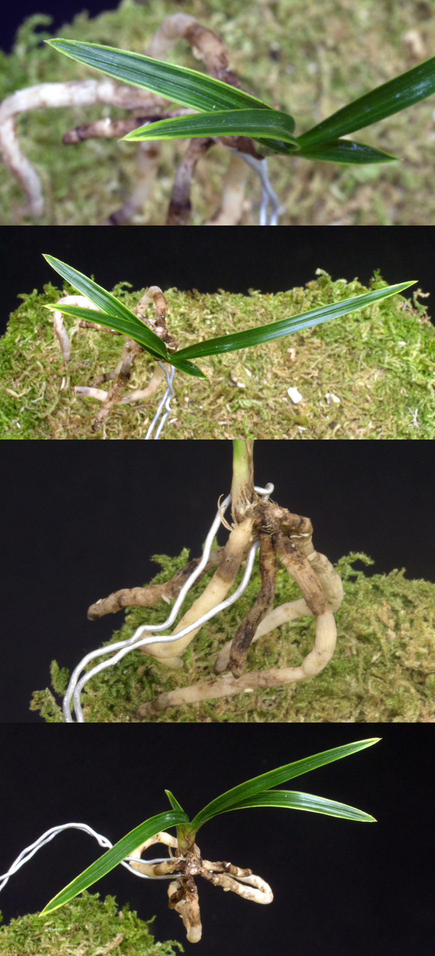 ������ ū������ �� �� �ֽ��ϴ�.