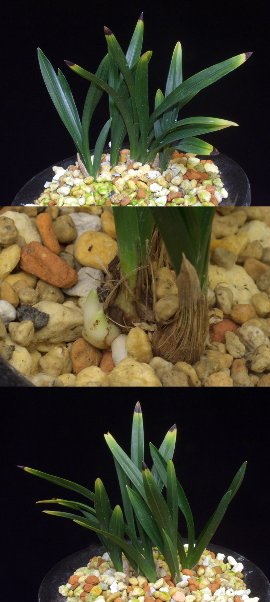 ������ ū������ �� �� �ֽ��ϴ�.