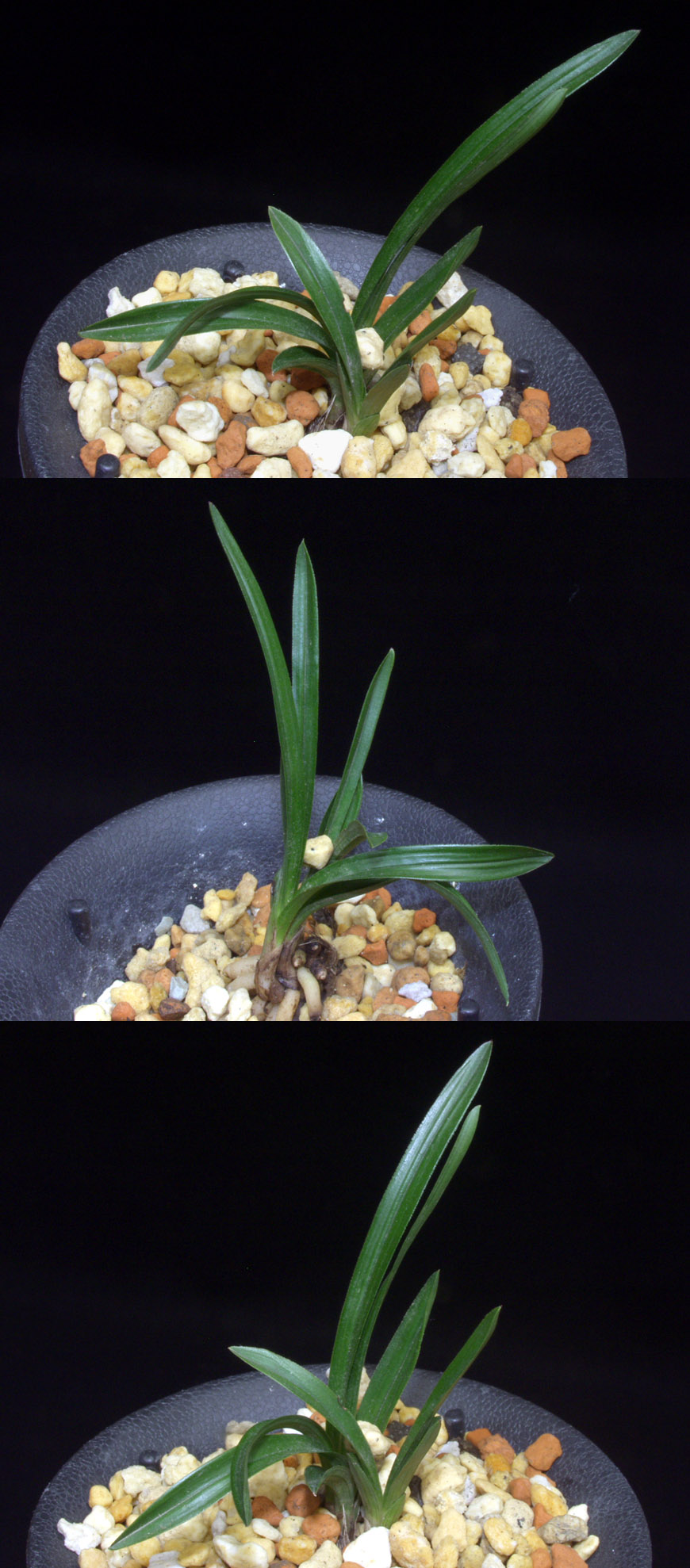 ������ ū������ �� �� �ֽ��ϴ�.