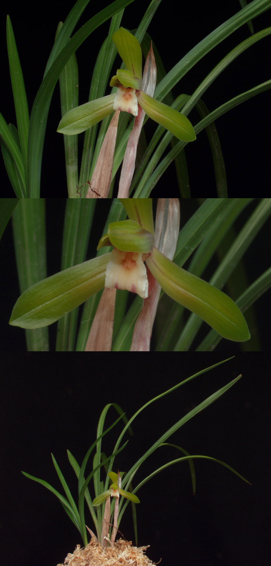 ������ ū������ �� �� �ֽ��ϴ�.