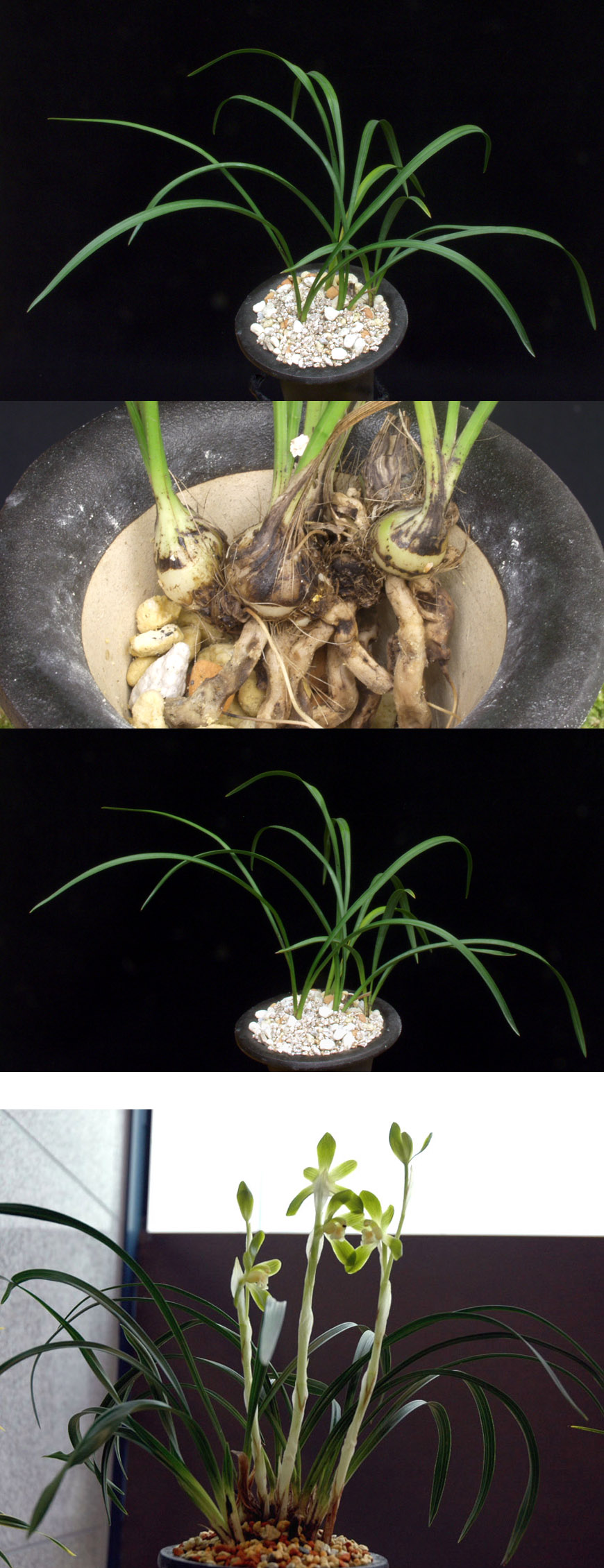 ������ ū������ �� �� �ֽ��ϴ�.