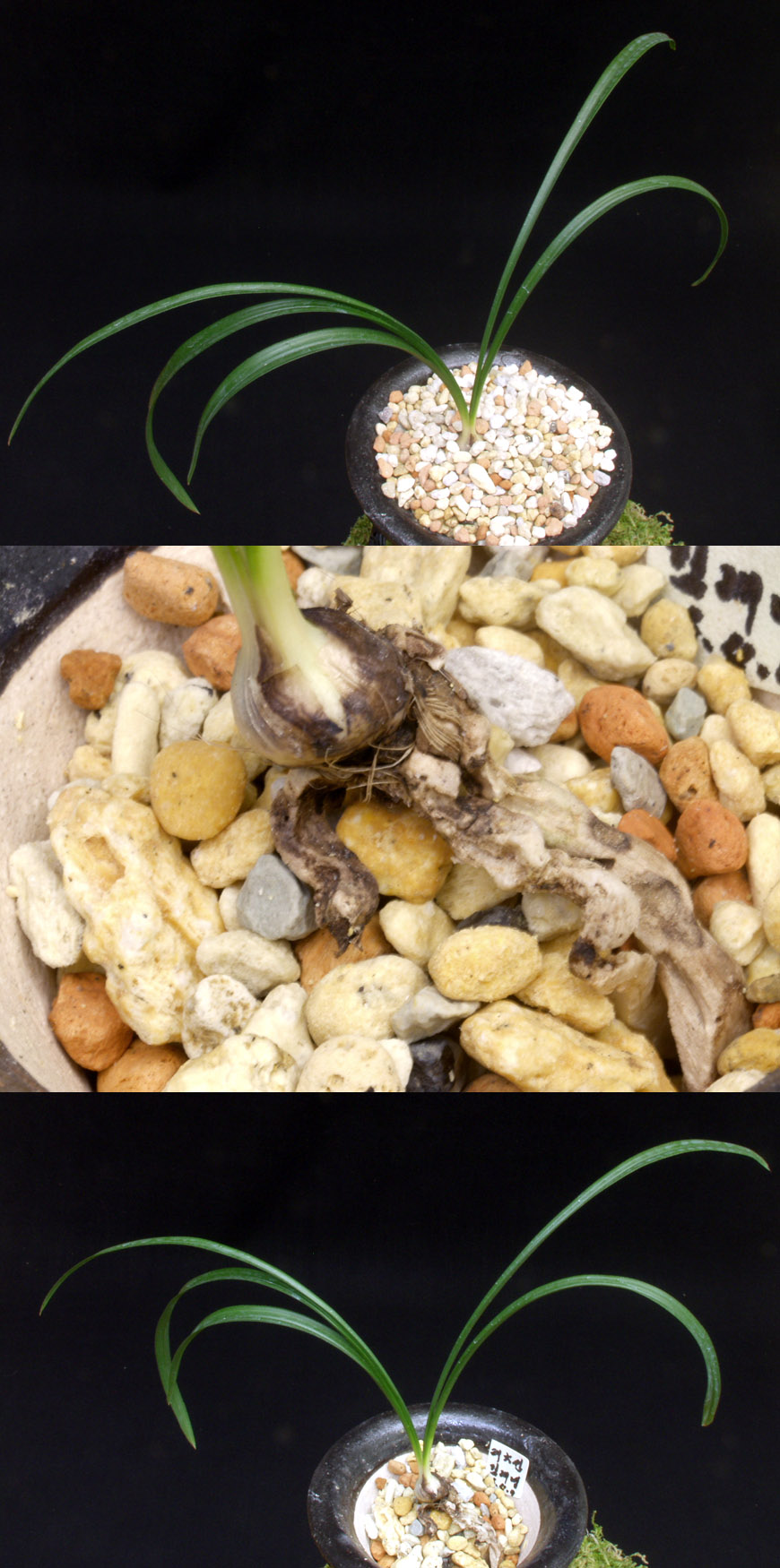 ������ ū������ �� �� �ֽ��ϴ�.