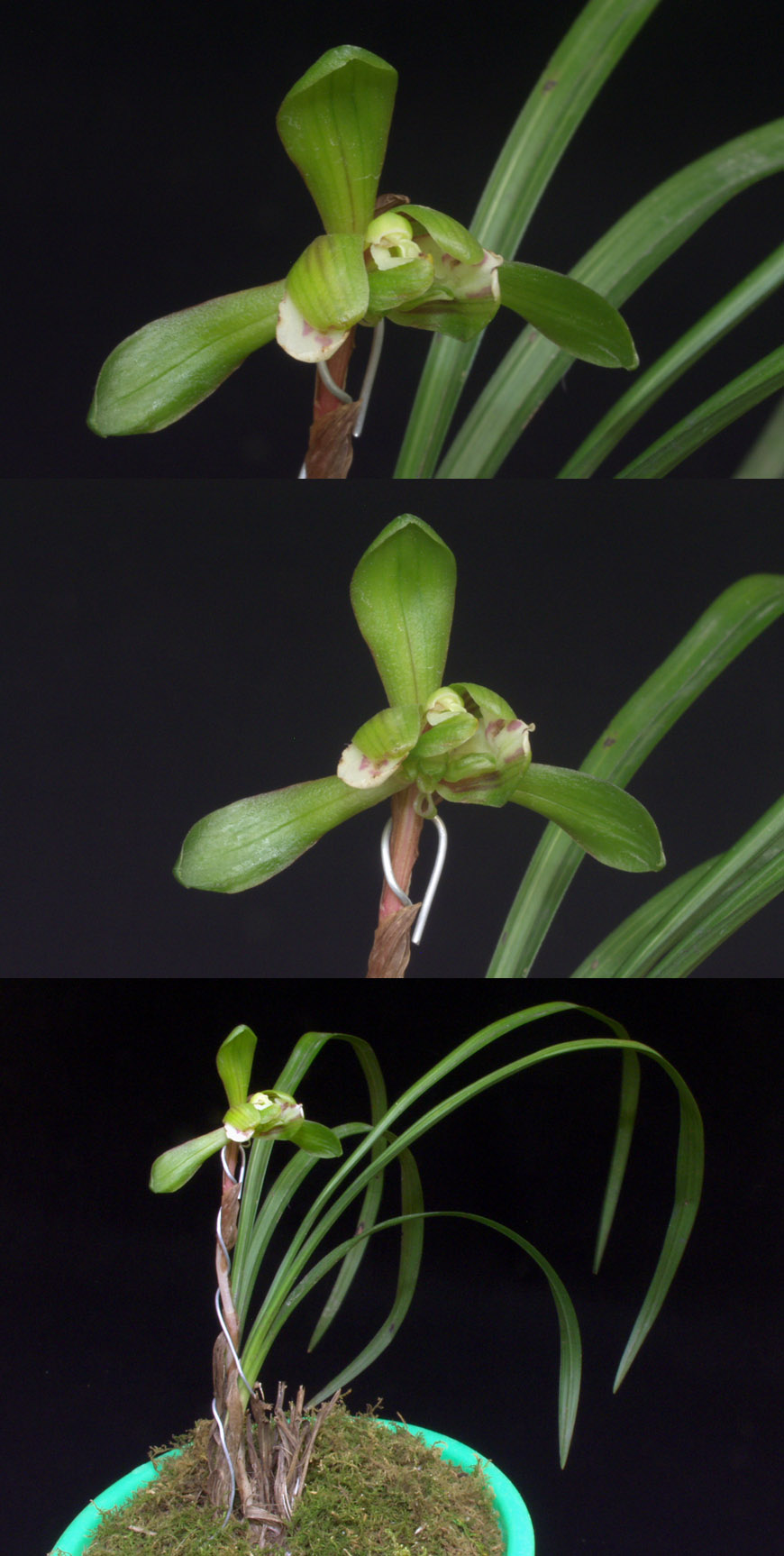 ������ ū������ �� �� �ֽ��ϴ�.