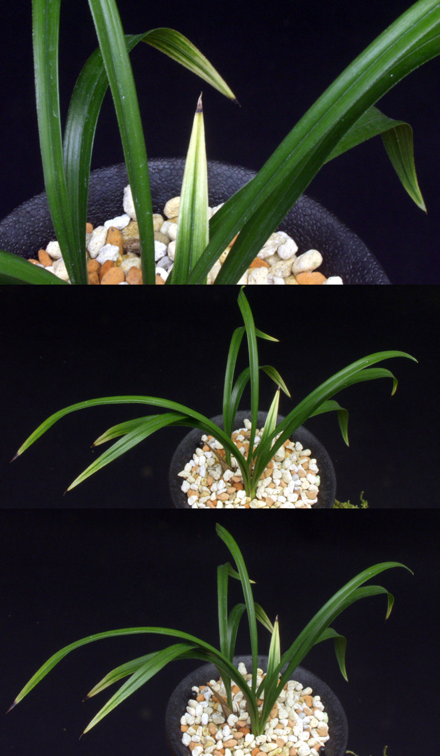 ������ ū������ �� �� �ֽ��ϴ�.