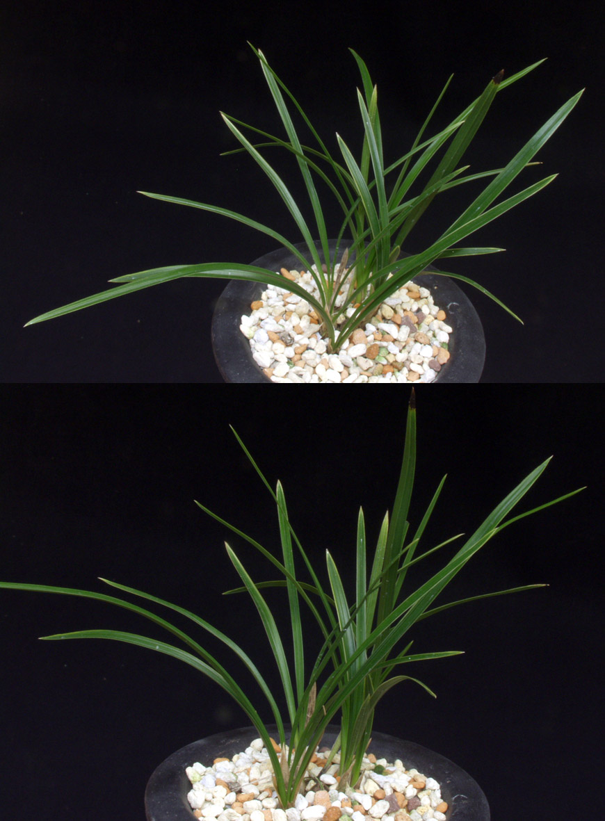 ������ ū������ �� �� �ֽ��ϴ�.