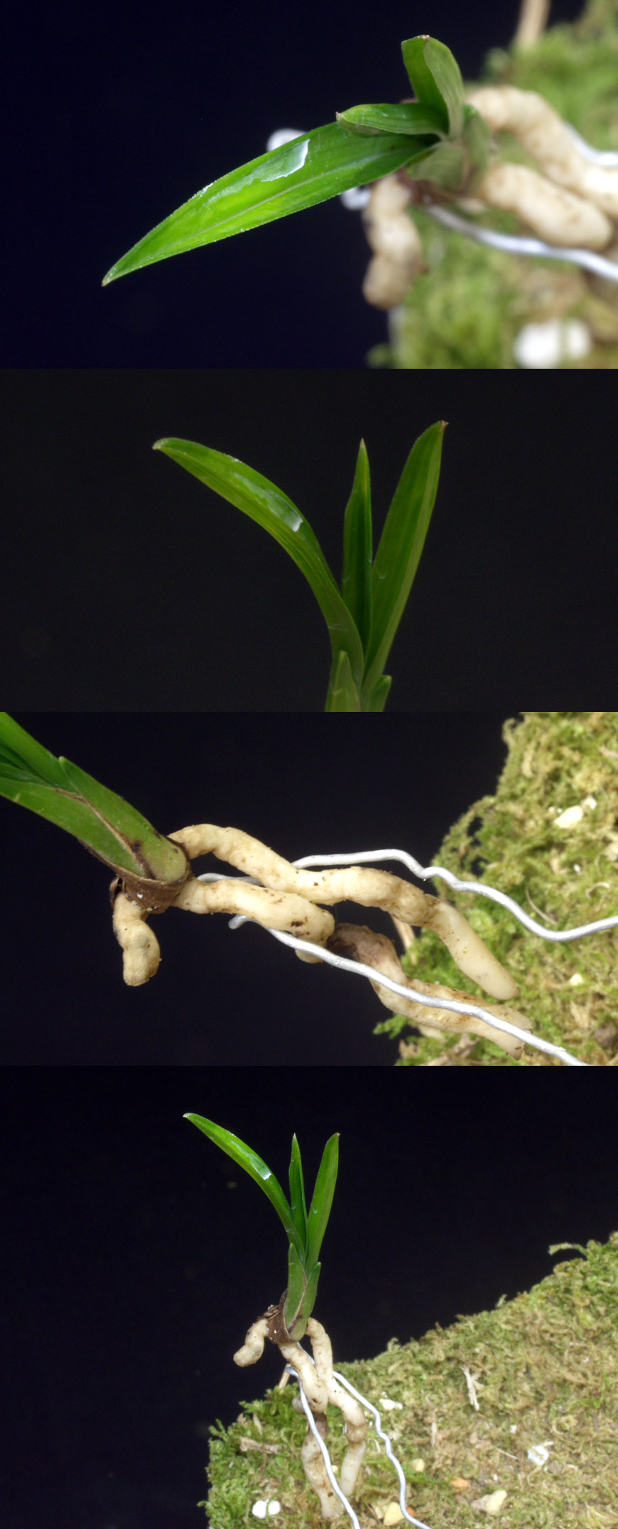 ������ ū������ �� �� �ֽ��ϴ�.